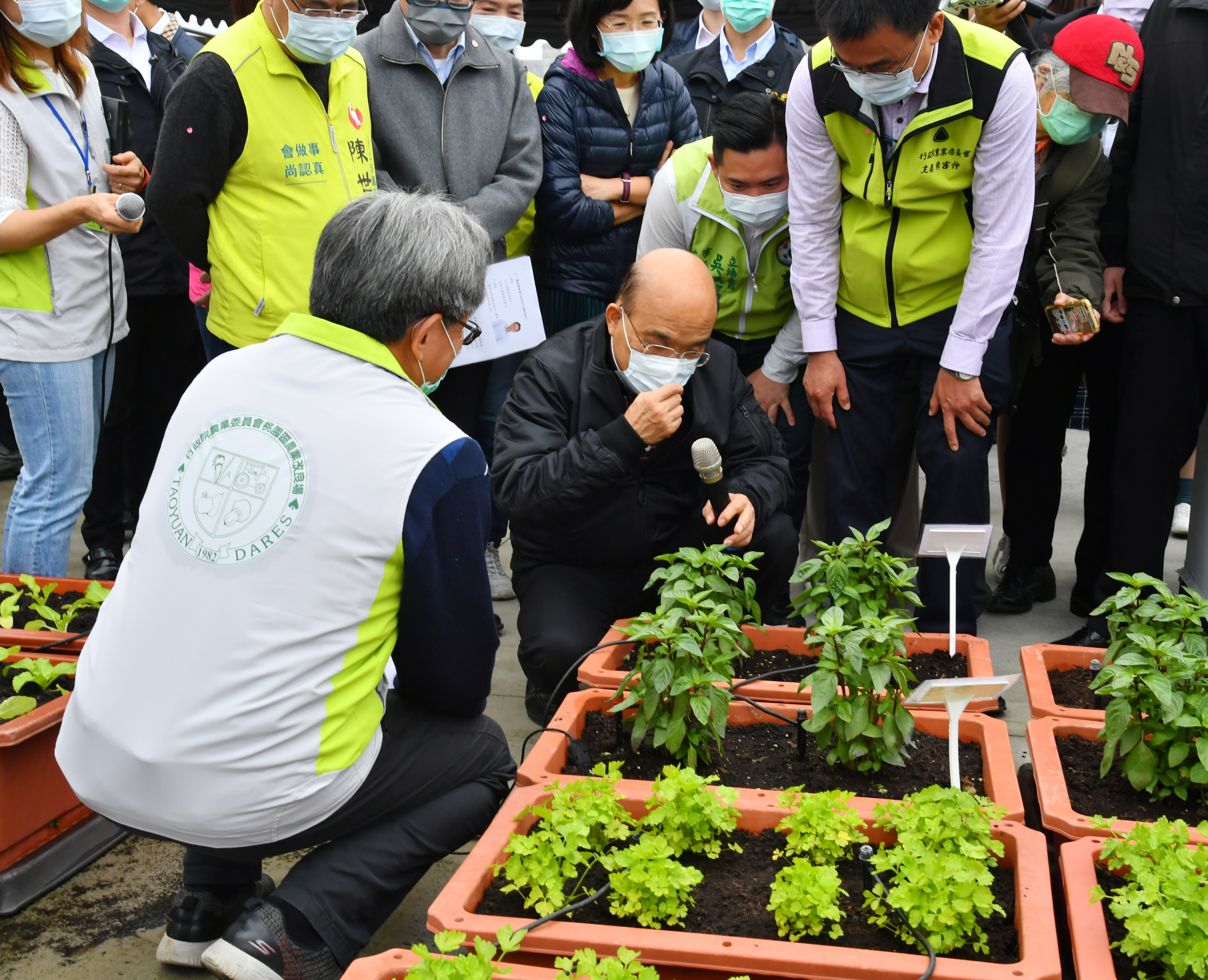 ▲▼蘇貞昌稱聞不到九層塔，是確診新冠肺炎。（圖／政院提供）