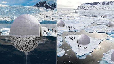 建築師打造「不會融化的冰上城市」！企鵝的新房子可擋寒風，還能製造冰塊