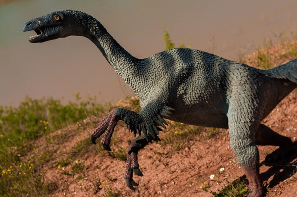 ▲這隻未知的恐龍化石很可能比巴塔哥巨龍還要大。（示意圖／取自免費圖庫pixabay）
