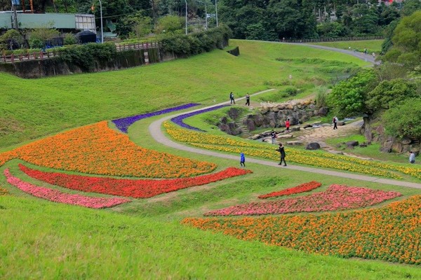 ▲大溝溪生態治水園區花海。（圖／臺北市政府工務局水利工程處提供）