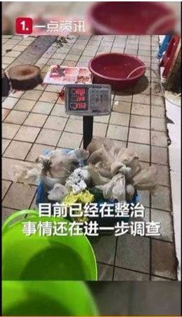 ▲湖南永洲市場出現現宰活貓攤販，現場還有數百隻浪貓被關著待宰。（圖／翻攝自微博）