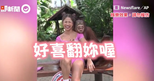 ▲泰國紅毛猩猩「兩手襲胸」！還扁嘴色瞇瞇笑　女遊客尷尬到爆笑。（圖／翻攝自即新聞）