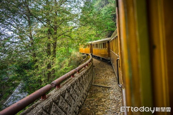 ▲搭乘「百年國寶-蒸汽火車」檜木列車欣賞櫻花美景。（圖／雄獅旅遊提供）