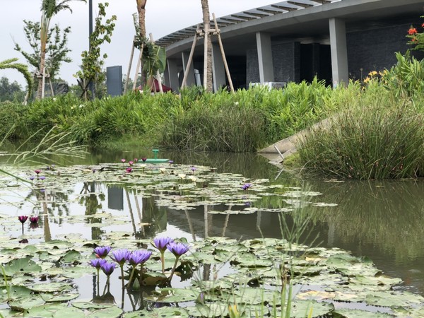 ▲故宮南院228連假辦野餐音樂會 。（圖／故宮南院提供）                                                                                                        