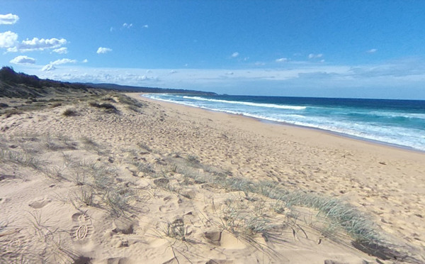 ▲▼澳洲塔斯拉（Tathra）附近的邦代海灘（Bournda Beach）。（圖／翻攝Google Maps）