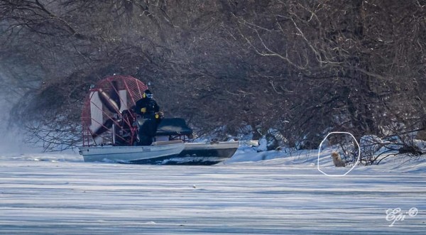 ▲狗狗受困結冰的底特律河。（圖／翻攝自Facebook／Woodhaven Animal Hospital）
