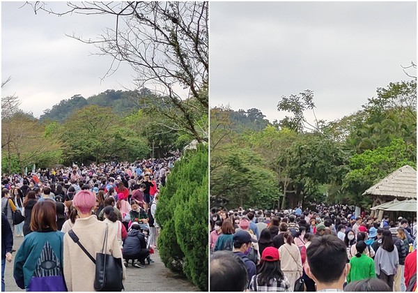 ▲台北市動物園被遊客塞爆。（圖／翻攝PPP）