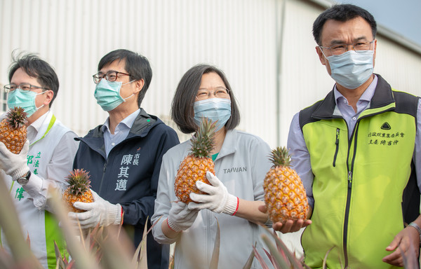 ▲▼總統蔡英文力挺台灣鳳梨。（圖／總統府提供）