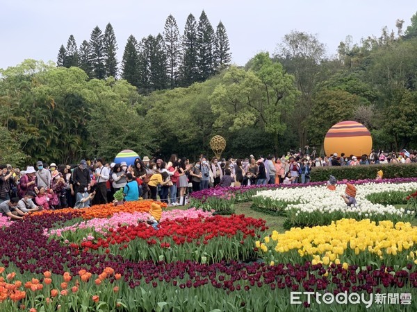 ▲▼士林官邸鬱金香展,士林官邸鬱金香展228連假人潮。（圖／記者蔡玟君攝）