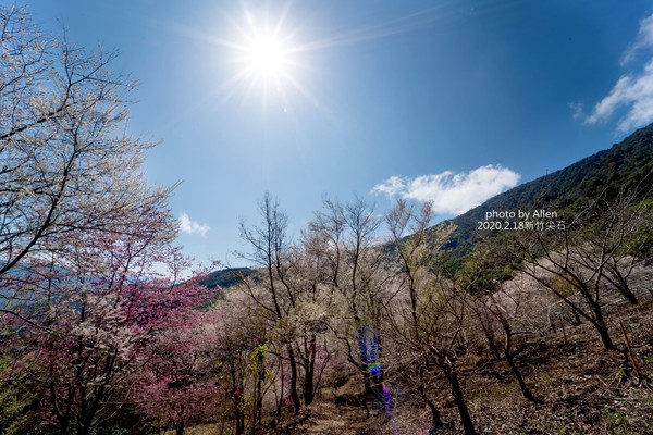 ▲▼萬里山園。（圖／ㄚ綾綾單眼皮大眼睛提供，以下皆同，請勿隨意翻拍以免侵權）