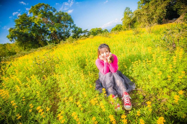 ▲▼貓空魯冰花海。（圖／大手牽小手。玩樂趣！！！提供，以下皆同，請勿隨意翻拍以免侵權）