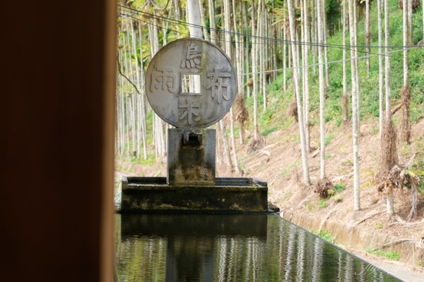 ▲▼烏布雨林峇里島主題餐廳。（圖／飛天璇的口袋提供）