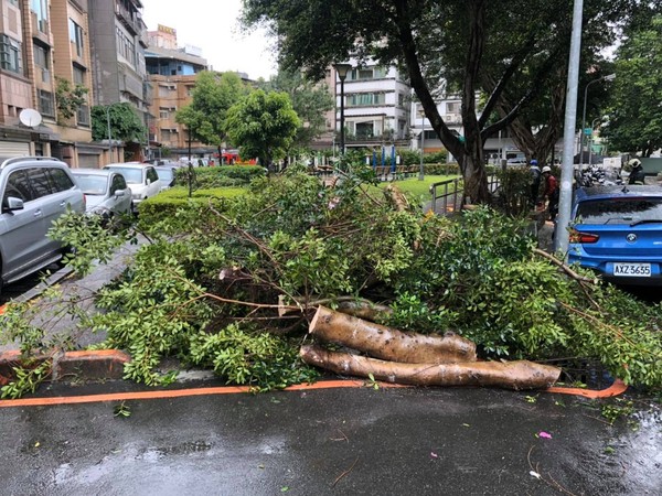 ▲北市建國南路巷弄內有公園路樹被吹倒。（圖／翻攝自Facebook／柯文哲）