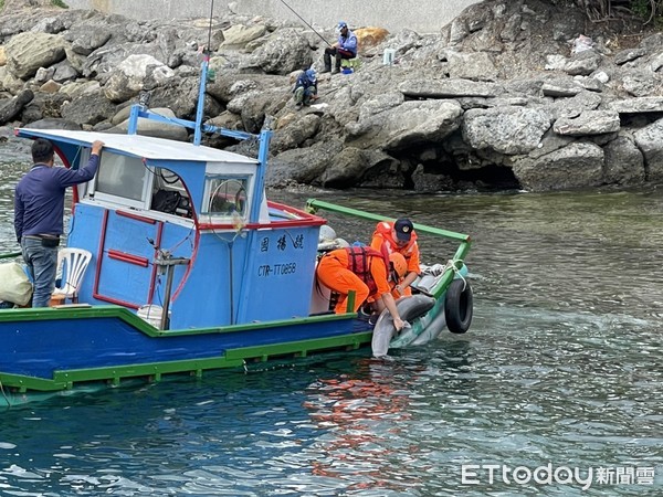 ▲海巡人員協調船筏協助將鯨豚打撈上岸。（圖／第一三岸巡隊提供，下同）