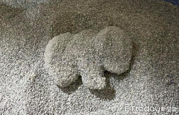 ▲大藝術家？貓砂盆挖出「一頭小象」　媽收到禮物超嗨：首次看到。（圖／網友林尚蓉提供，請勿隨意翻拍，以免侵權。）