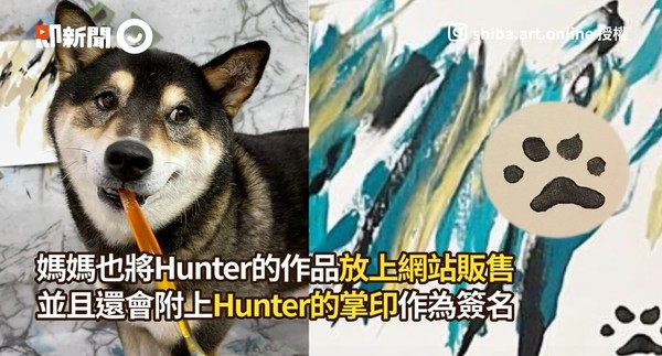 ▲▼柴犬Hunter。（圖／即新聞／@shiba.art.online）
