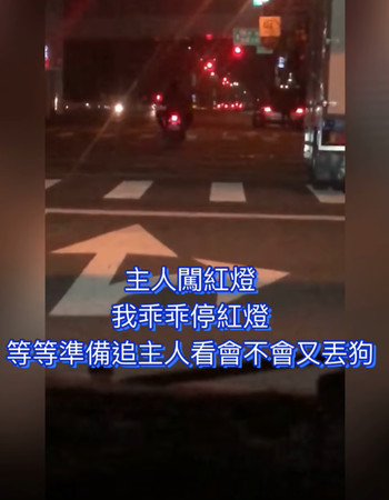 台中狗狗被推下機車。（圖／翻攝自爆怨2公社／歐董）