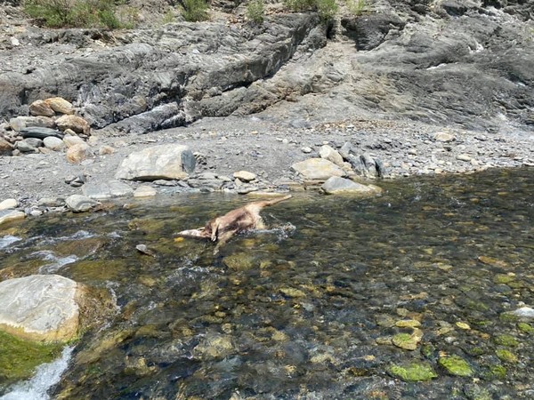 ▲▼丹大溪。(圖/翻攝自Facebook/台灣溫泉探勘網) ▲▼丹大溪。(圖/翻攝自Facebook/台灣溫泉探勘網)