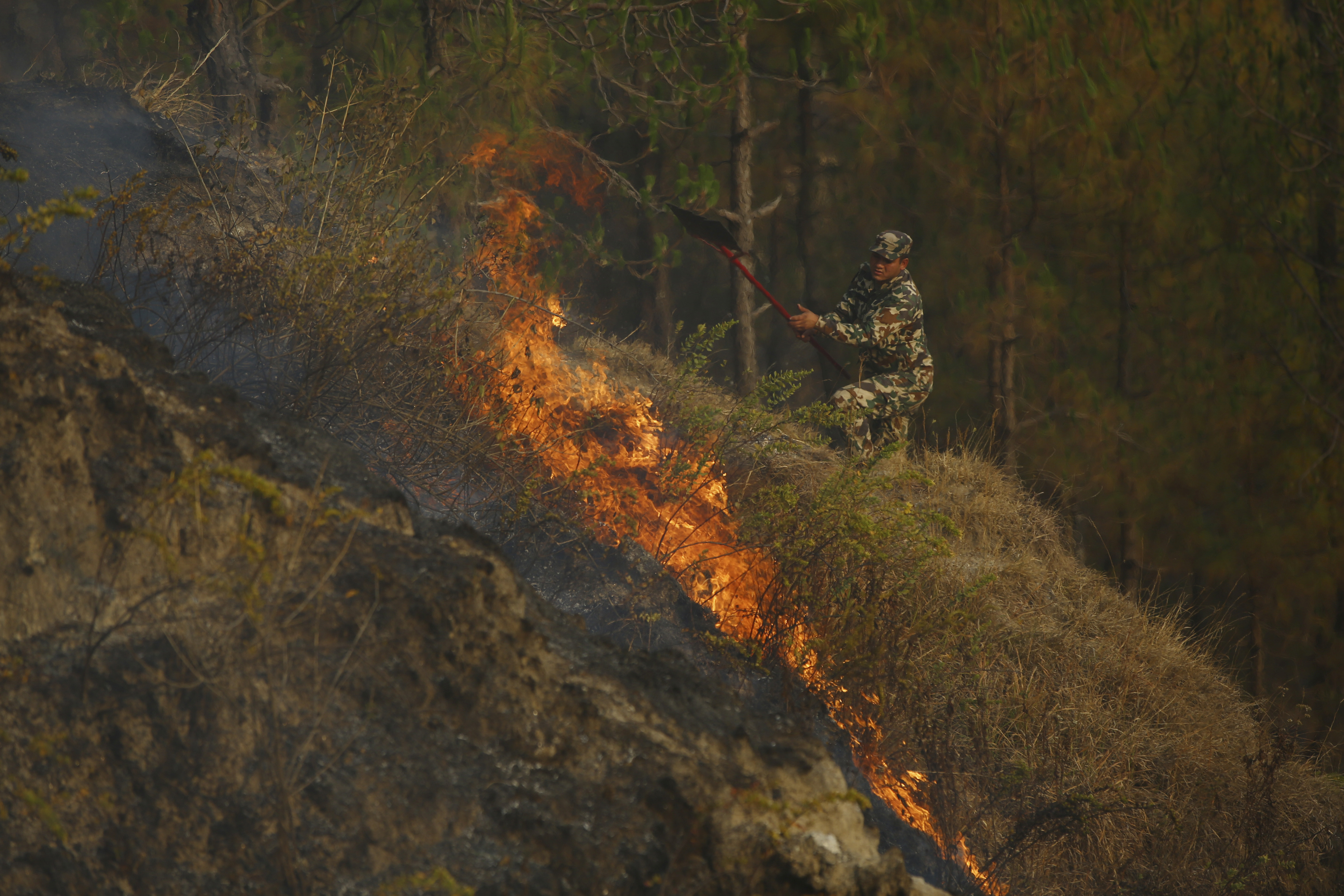 ▲▼印度北部與尼泊爾森林大火持續蔓延。（圖／達志影像／美聯社）