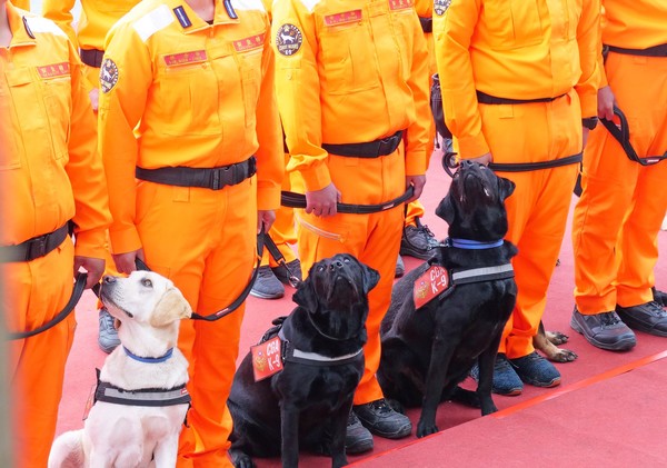 ▲▼10隻海巡偵搜犬畢業，將前往全台各地，參與海防一線的各項勤務。（圖／翻攝海巡署長室 Coast Guard粉絲專頁）