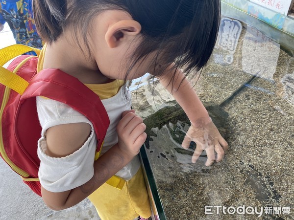 ▲▼德陽艦園區遭遊客指控,觸摸池內放魚,導致魚類死亡。(圖/記者林悅攝) ▲▼德陽艦園區遭遊客指控,觸摸池內放魚,導致魚類死亡。(圖/記者林悅攝)