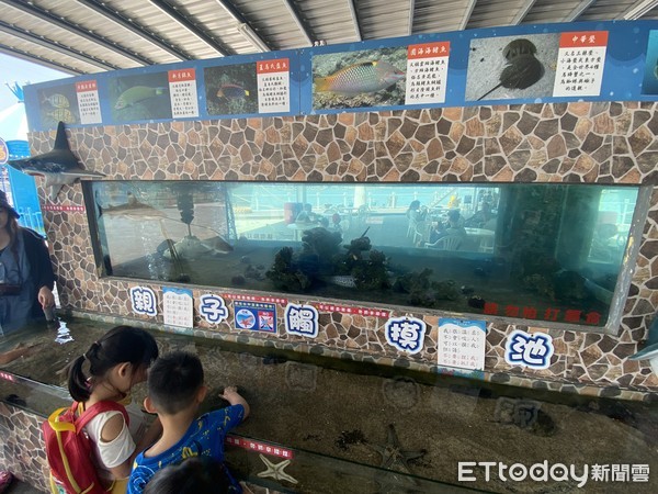 ▲▼德陽艦園區遭遊客指控,觸摸池內放魚,導致魚類死亡。(圖/記者林悅攝) ▲▼德陽艦園區遭遊客指控,觸摸池內放魚,導致魚類死亡。(圖/記者林悅攝)