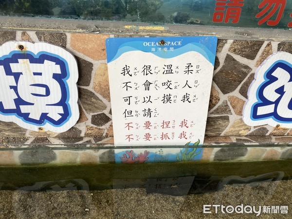 ▲▼德陽艦園區遭遊客指控,觸摸池內放魚,導致魚類死亡。(圖/記者林悅攝) ▲▼德陽艦園區遭遊客指控,觸摸池內放魚,導致魚類死亡。(圖/記者林悅攝)