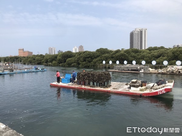 ▲台南市議員李啟維將舉辦坐竹筏紅樹林養蚵生態之旅，歡迎民眾報名共襄盛舉。（圖／記者林悅翻攝，下同）