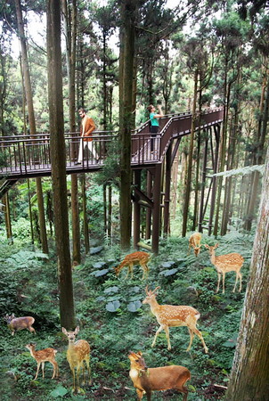 ▲▼內門觀光休閒園區。（圖／高雄旅遊網官網）