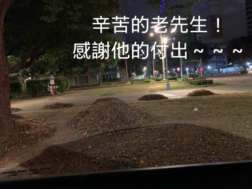 ▲▼老先生凌晨4點掃落葉。(圖/翻攝自路上觀察學院) ▲▼老先生凌晨4點掃落葉。(圖/翻攝自路上觀察學院)