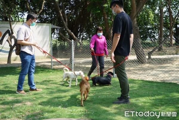 ▲嘉縣第2座寵物認養示範公園  4月底朴子啟用。（圖／嘉義縣政府提供）