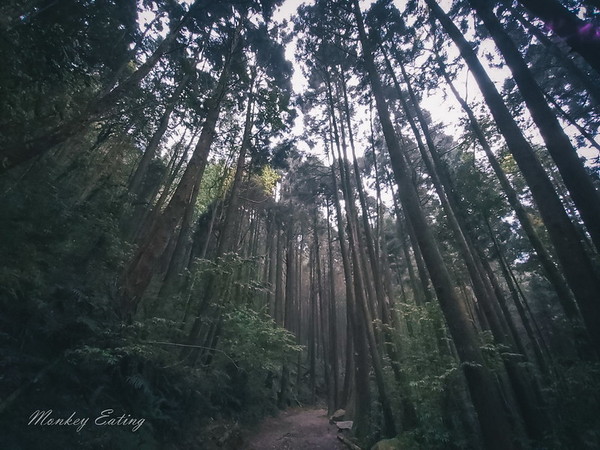 ▲▼橫嶺山步道。（圖／NINI AND BLUE玩樂食記提供）