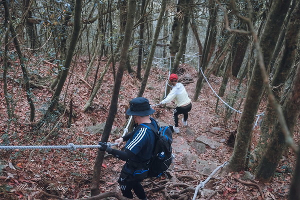 ▲▼橫嶺山步道。（圖／NINI AND BLUE玩樂食記提供）