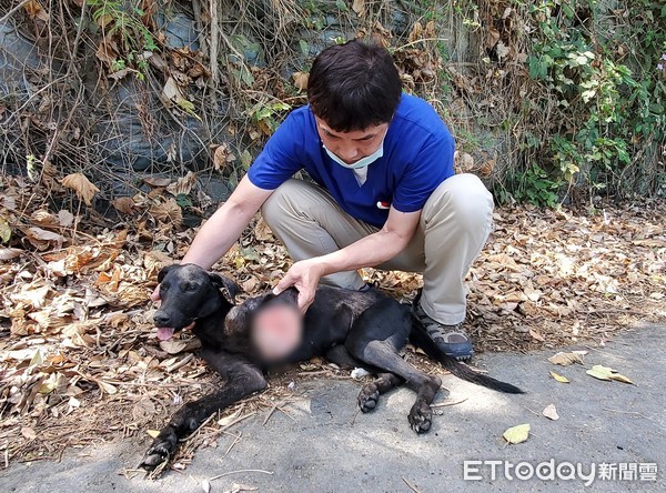 ▲高雄黑狗被開山刀砍斷腿。（圖／台灣動物緊急救援小組提供）