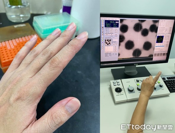 ▲▼PCR檢驗。(圖/網友張郎授權提供) ▲▼PCR檢驗。(圖/網友張郎授權提供)