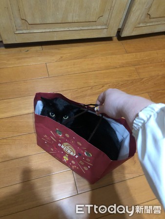 黑貓佔據外送放置箱。（圖／飼主黃培華提供）