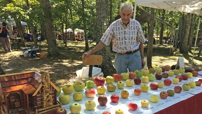 蘋果考古博士！79歲爺上山下海「找到幾千種蘋果」　創圖鑑大笑：還缺100多種