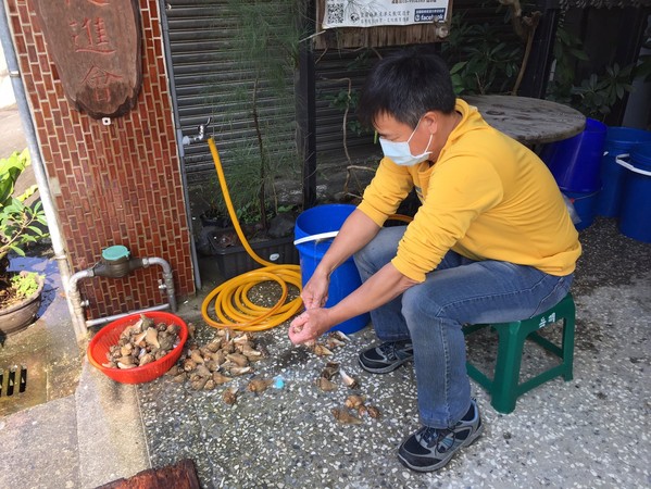 ▲志工正在清理吃過的海產螺類，準備給寄居蟹換殼。（圖／羅東林管處）