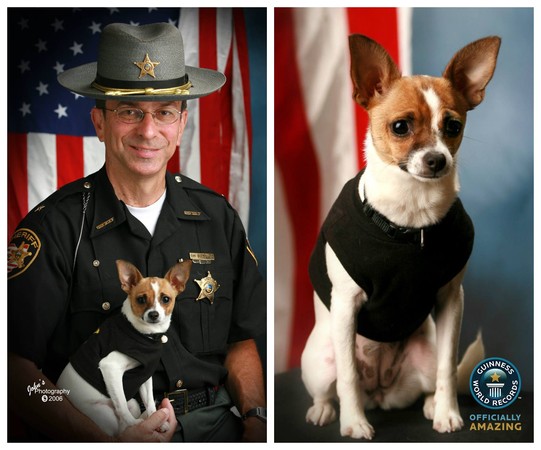 ▲▼前警長麥克利蘭與他的警犬搭檔米吉。（圖／翻攝自Facebook／Guinness World Records）