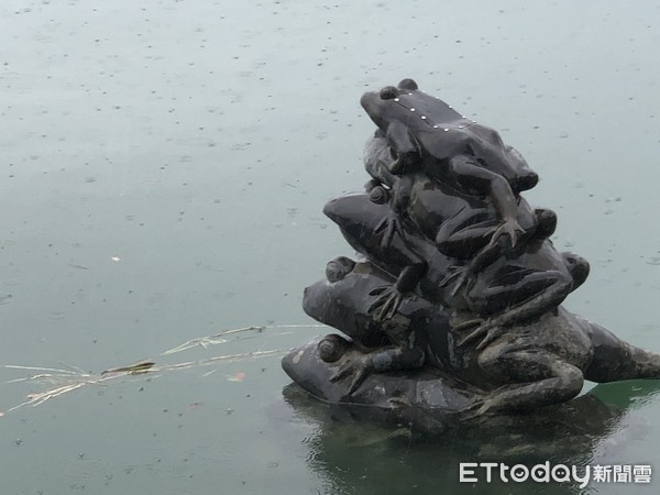 ▲今早大雨讓日月潭水位持續回升，九蛙疊像已剩五蛙露出水面。（圖／記者高堂堯翻攝）