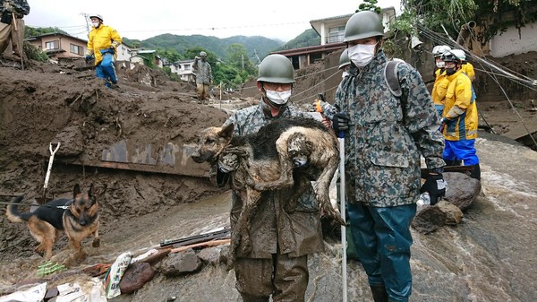 日本救難犬協助土石流救援。（圖／翻攝自航空自衛隊 浜松基地推特）
