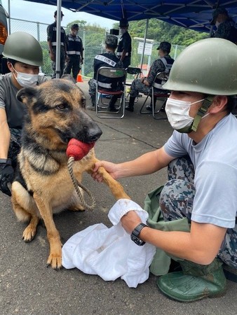 日本救難犬協助土石流救援。（圖／翻攝自航空自衛隊 浜松基地推特）