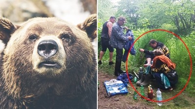 飢餓野熊「守樹下整整兩天」想吃人肉！登山夫妻困樹頂不吃不喝不敢睡