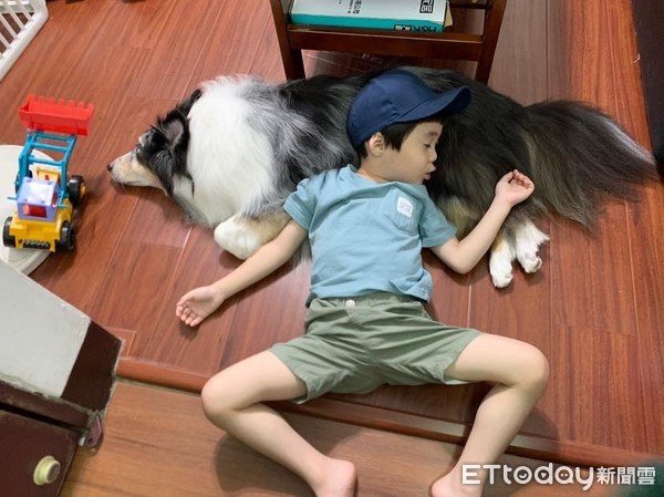 ▲在家微解封！5歲弟「抱住肥狗」假躺草皮　阿母看傻：被關到壞掉。（圖／網友Wu Yi Ting提供，請勿隨意翻拍，以免侵權。）