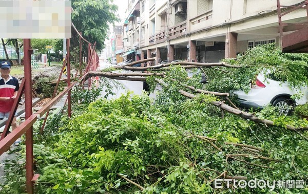 ▲「煙花」颱風在台灣東部外海持續逼近中，外圍環流帶來強風豪雨，桃園區四維街路樹倒塌，壓壞2輛轎車，警方協助清理。（圖／記者沈繼昌翻攝）