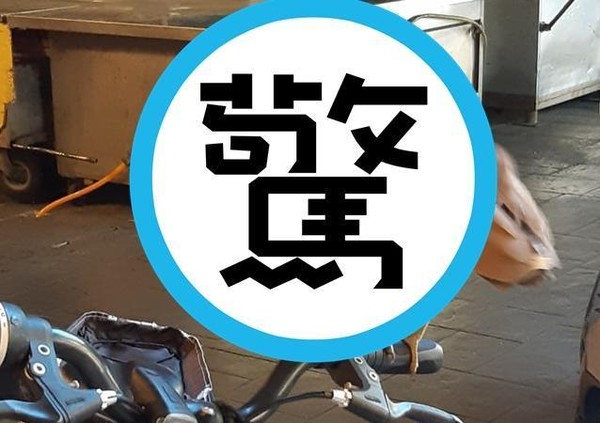 女網友發現腳踏車停著一隻「神祕大鳥」。（翻攝自臉書社團「路上觀察學院」）