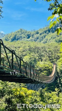 ▲奧萬大吊橋。（圖／林務局南投林管處提供）