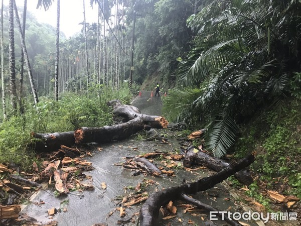 ▲大雨沖倒路樹，草屯警方冒雨警戒維護安全。（圖／記者高堂堯翻攝）