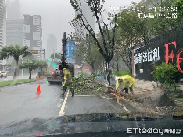 ▲▼前鎮區路樹倒塌。（圖／記者許宥孺翻攝）