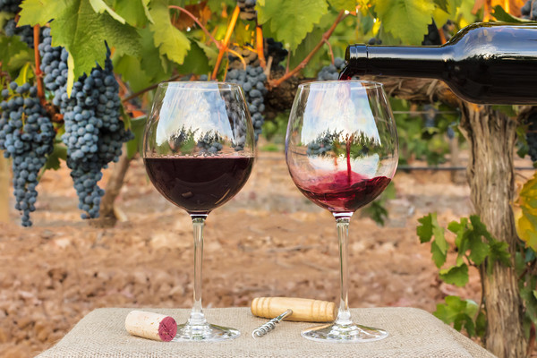 极端气候冲击！全球葡萄酒收成62年来最差　澳洲产量少26%